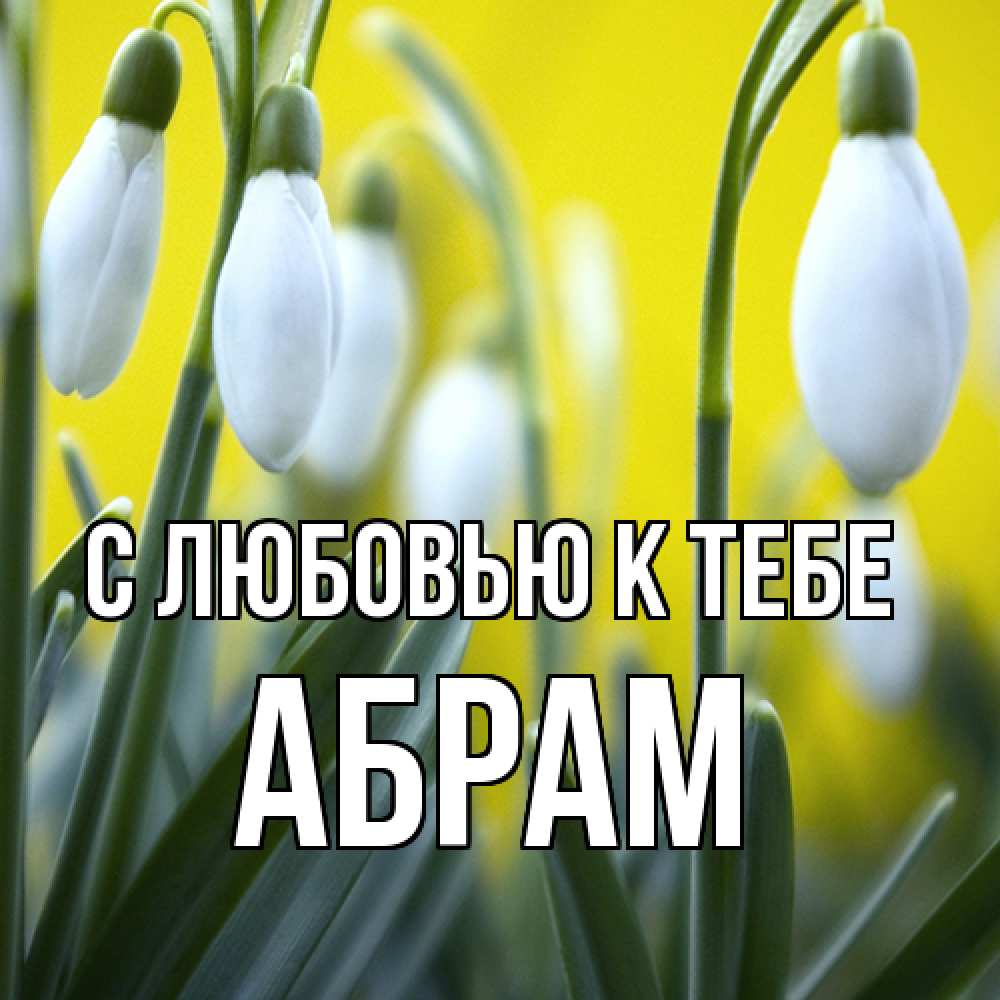 Открытка  с именем. Абрам, С любовью к тебе  