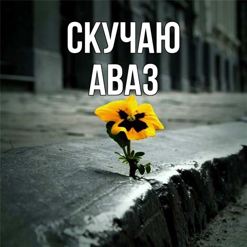 Картинка Скучаю, Аваз