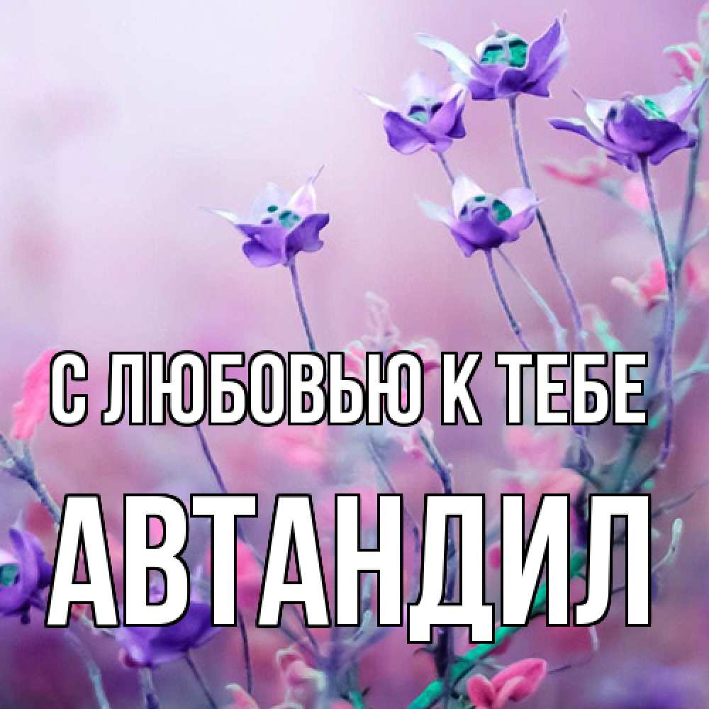 Открытка  с именем. Автандил, С любовью к тебе  