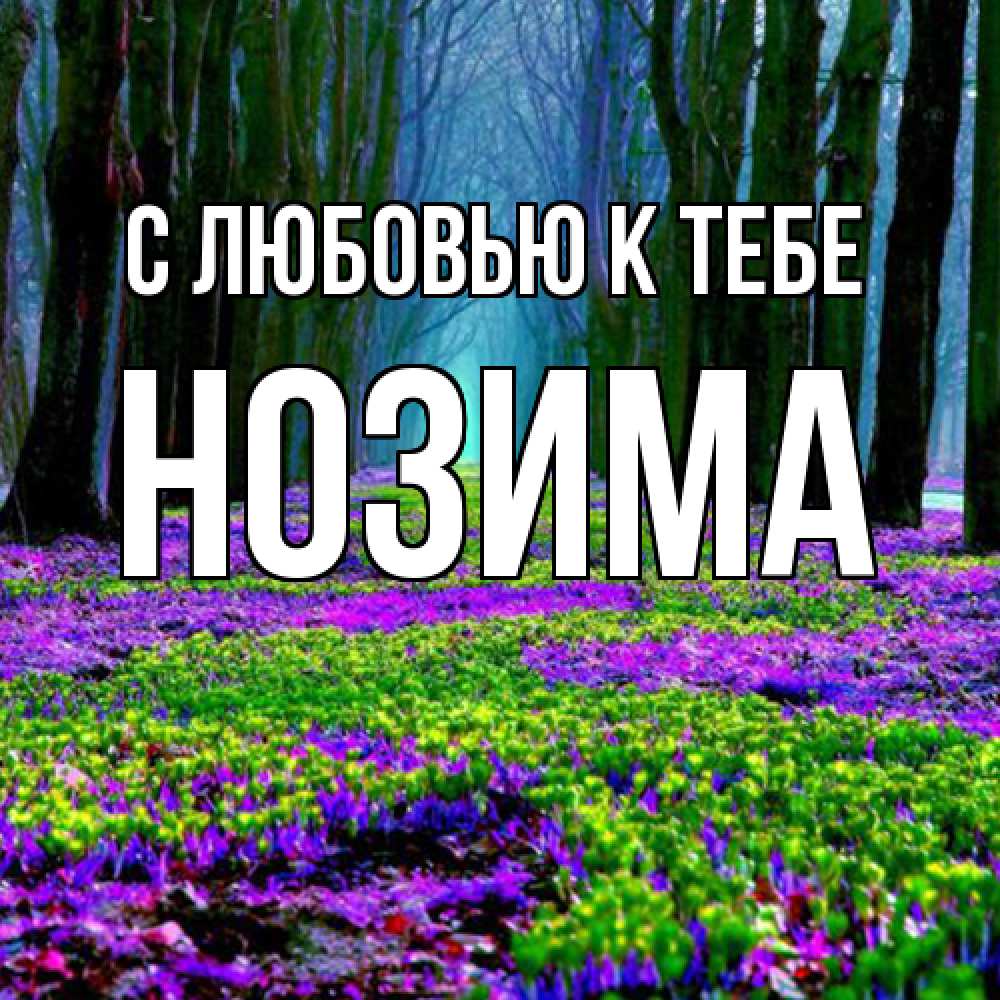 Открытка  с именем. НОЗИМА, С любовью к тебе  