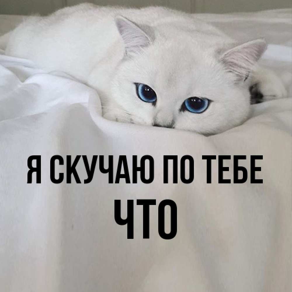 Открытка  с именем. Что, Я скучаю по тебе  