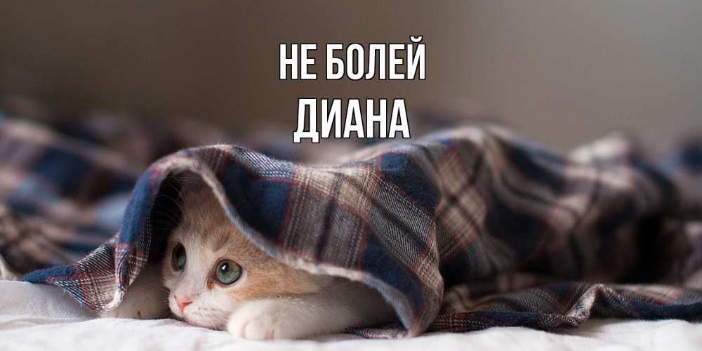 Открытка  с именем. Диана, Не болей  