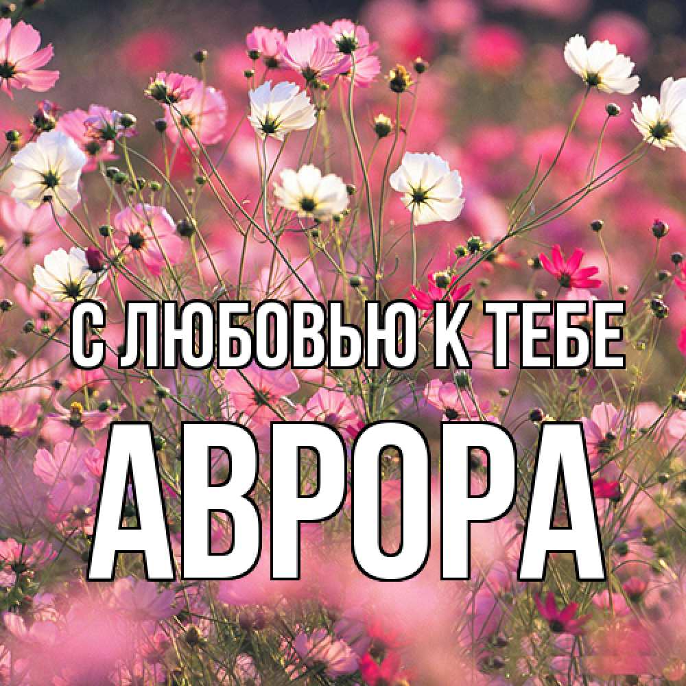 Открытка  с именем. Аврора, С любовью к тебе  