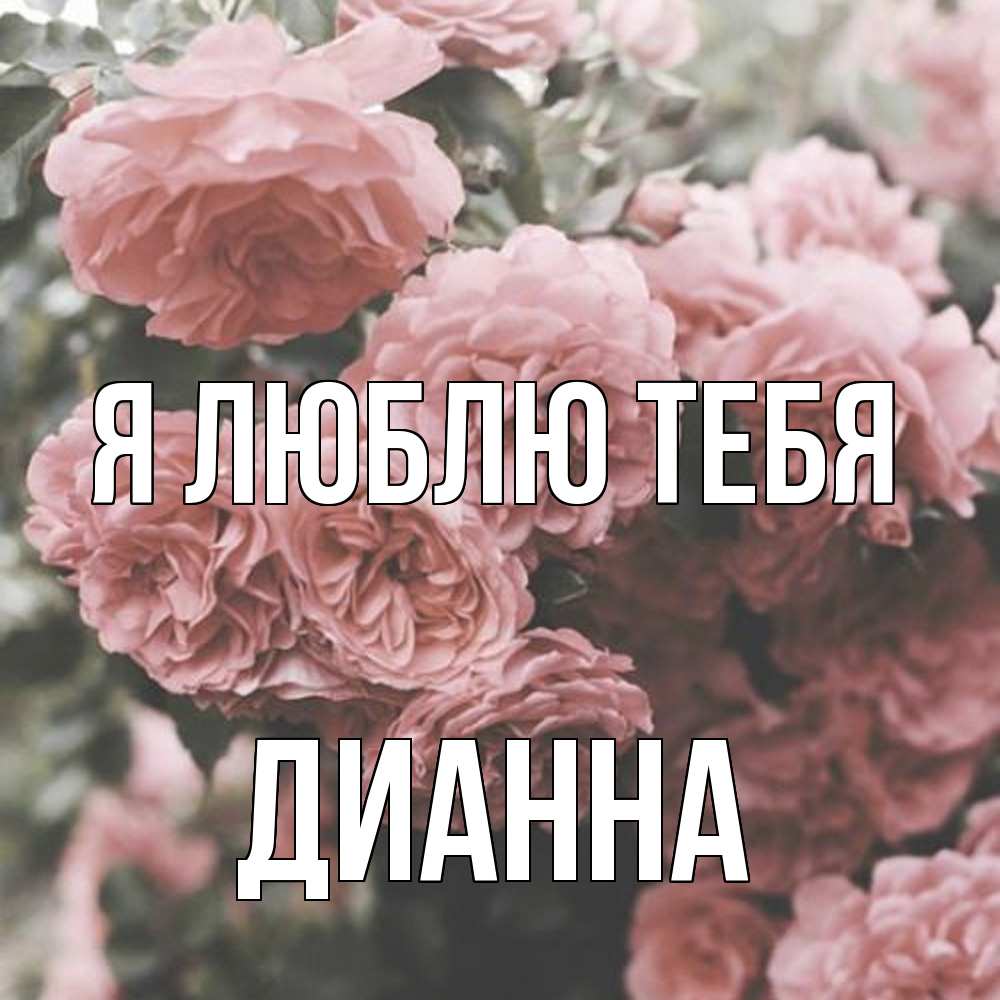 Открытка  с именем. Дианна, Я люблю тебя  