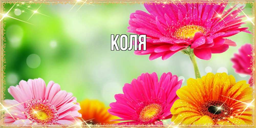 Открытка  с именем. коля, Главная  