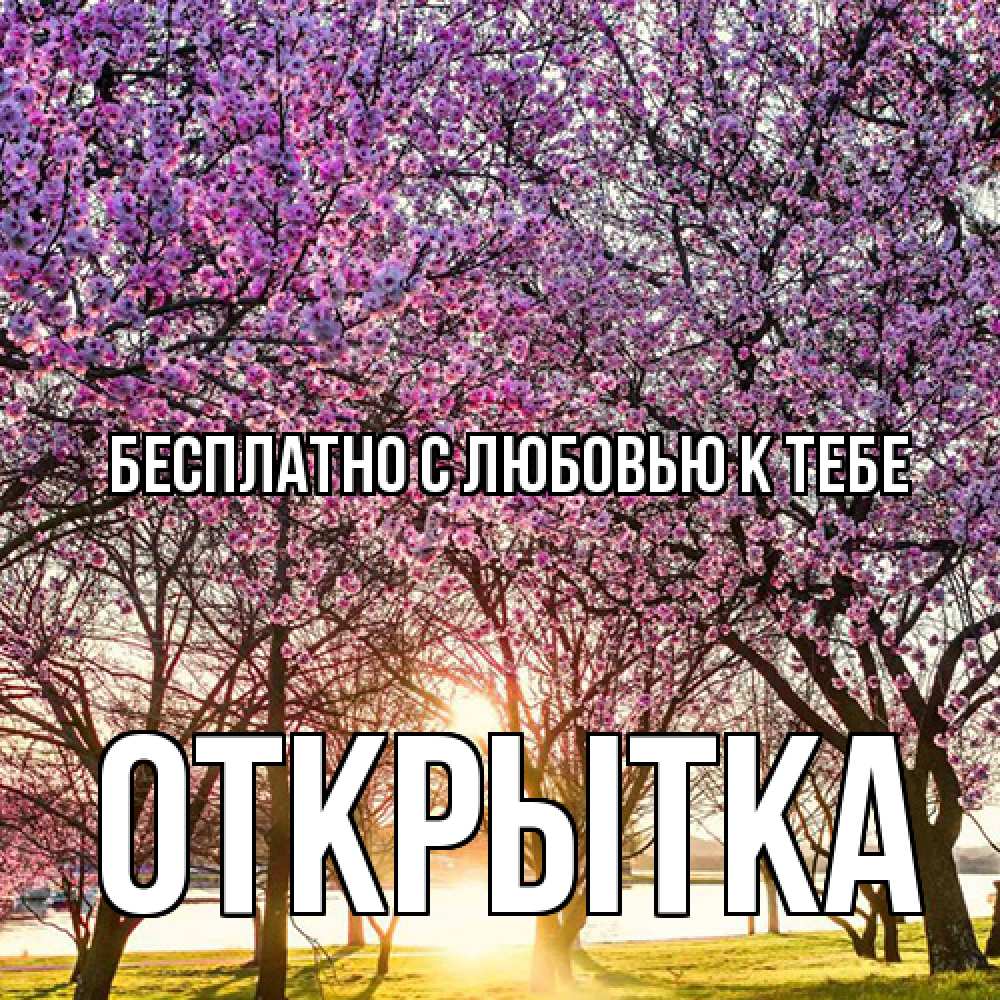 Открытка  с именем. открытка, С любовью к тебе  