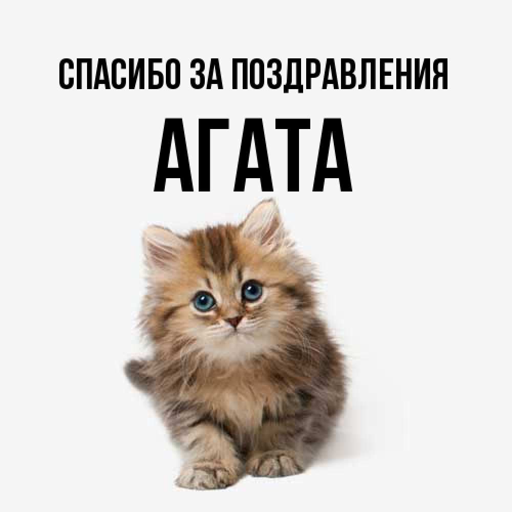 Открытка  с именем. Агата, Спасибо за поздравления  