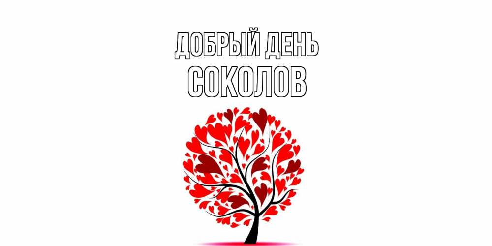 Открытка  с именем. Соколов, Добрый день  