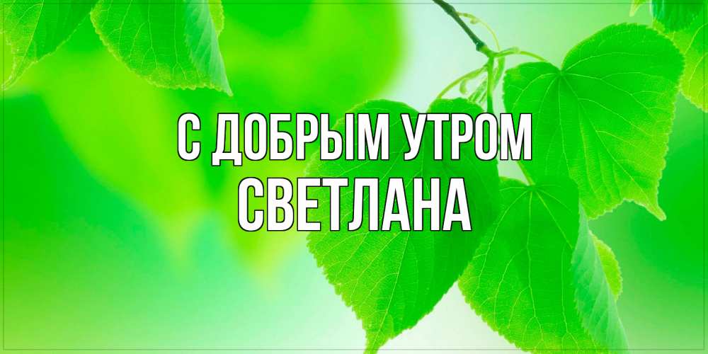 Открытка  с именем. Светлана, С добрым утром  