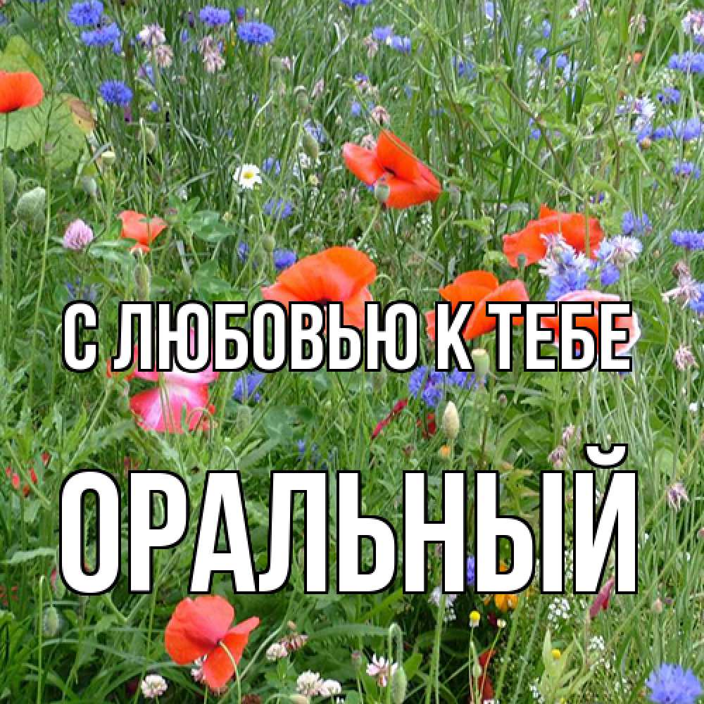 Открытка  с именем. ОРАЛЬНЫЙ, С любовью к тебе  