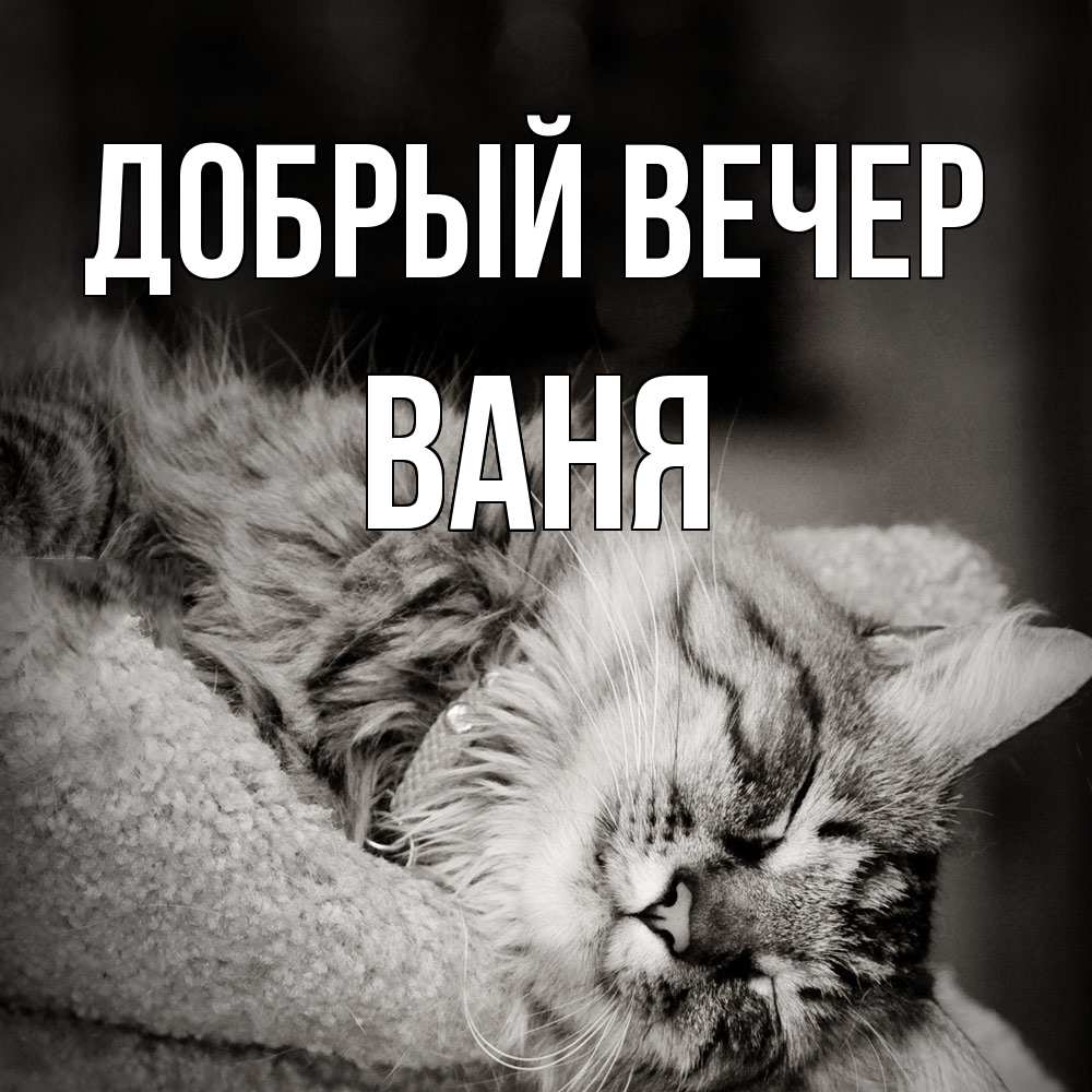 Открытка  с именем. ваня, Добрый вечер  