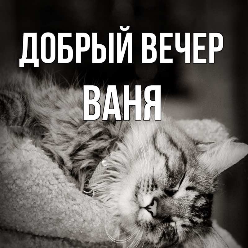 Картинка Добрый вечер, ваня