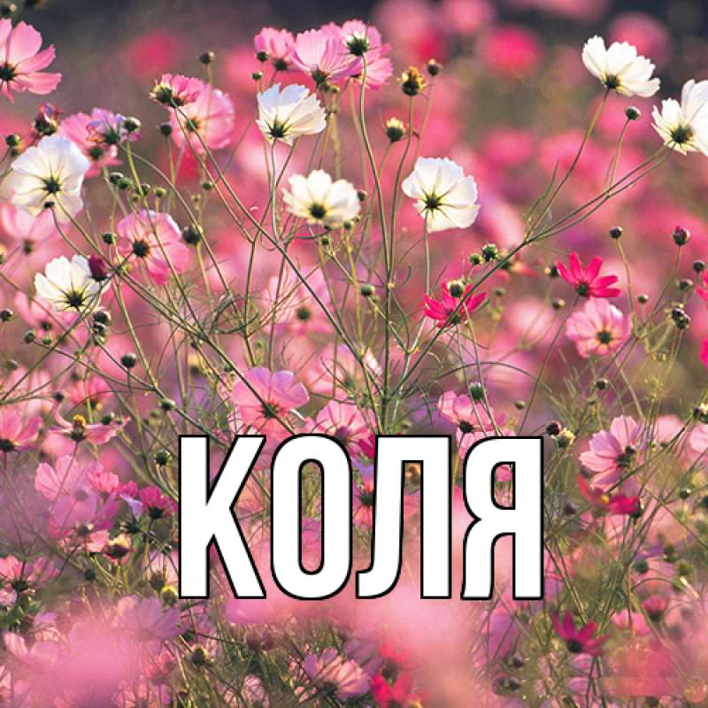 Картинка  с именем , коля