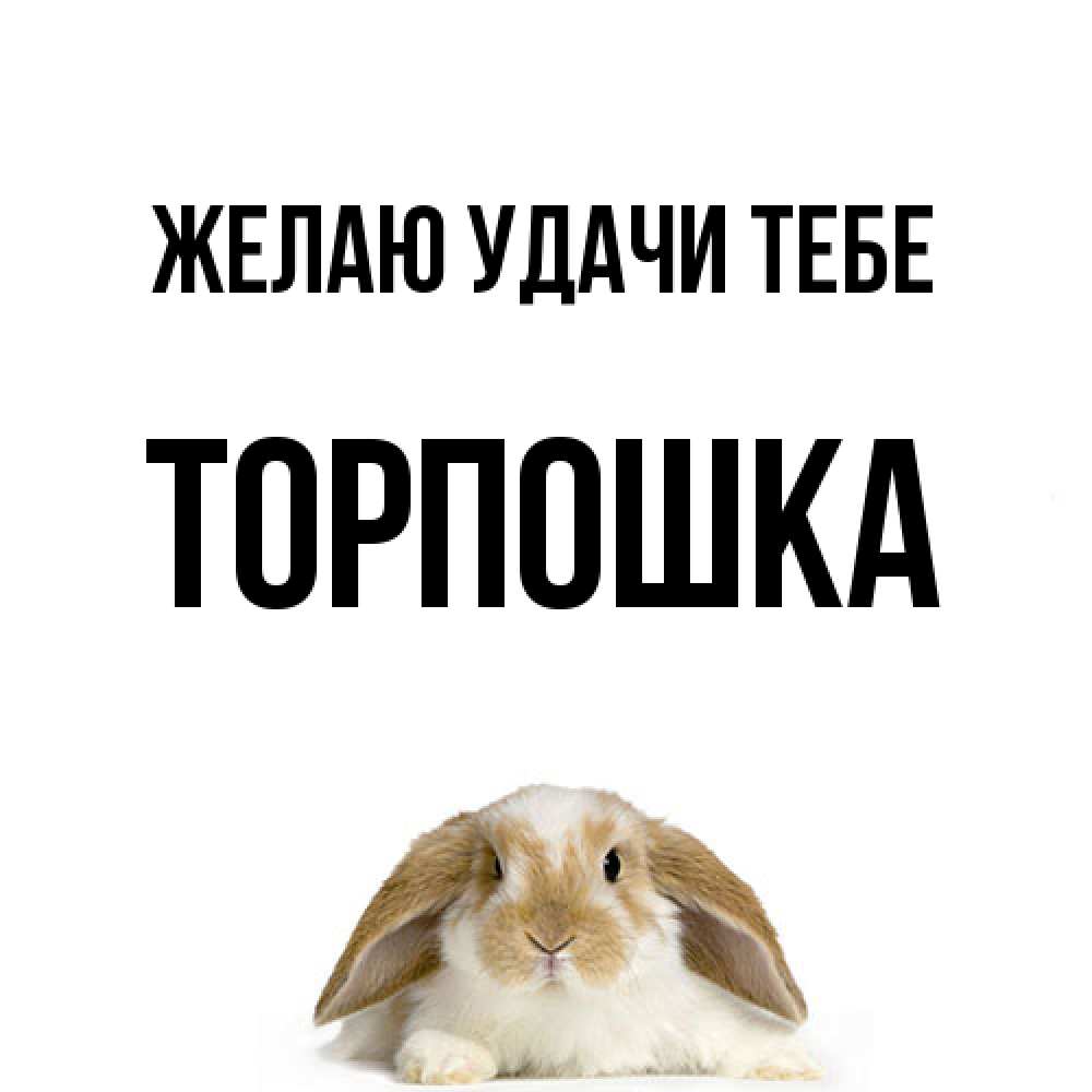 Открытка  с именем. торпошка, Желаю удачи тебе  