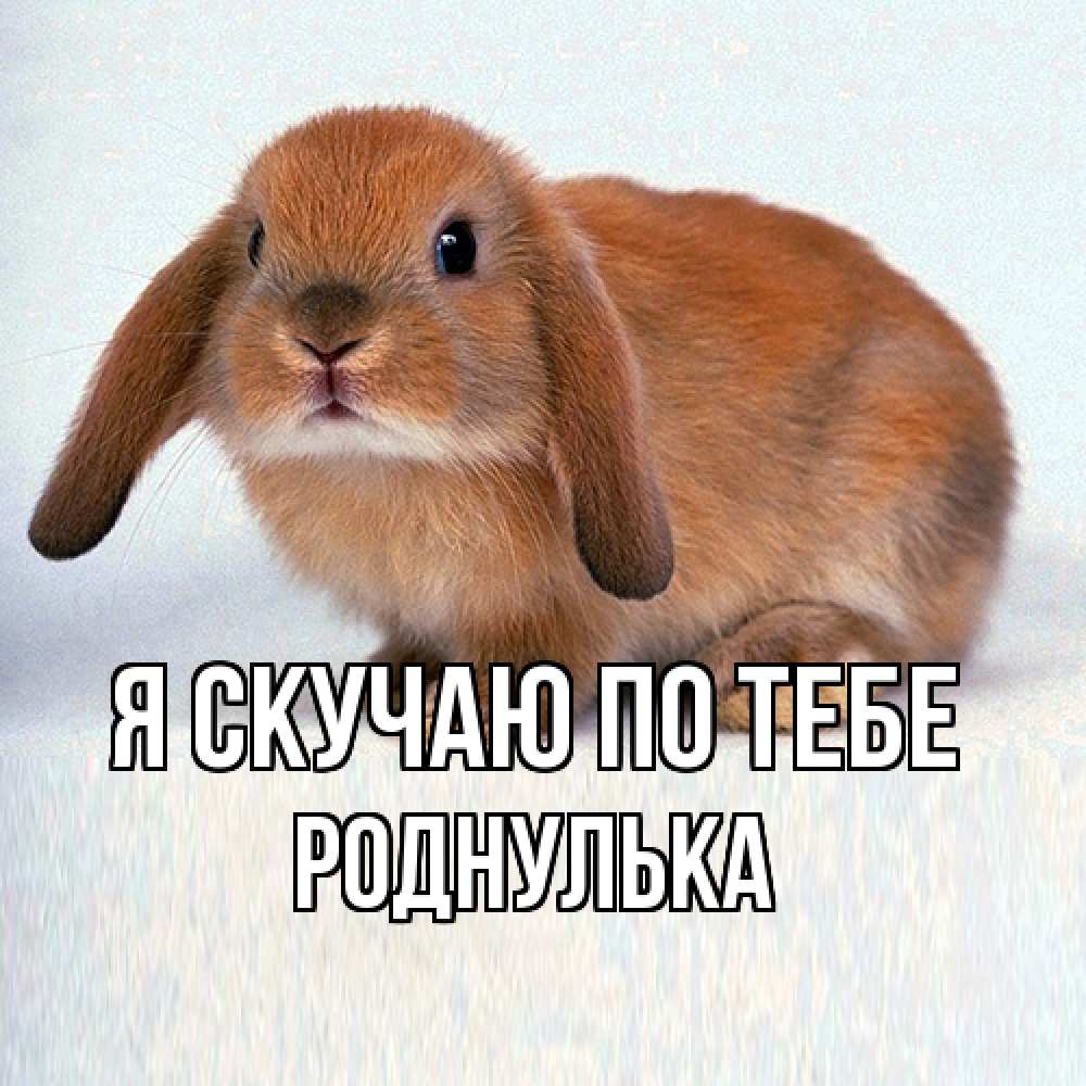 Открытка  с именем. роднулька, Я скучаю по тебе  