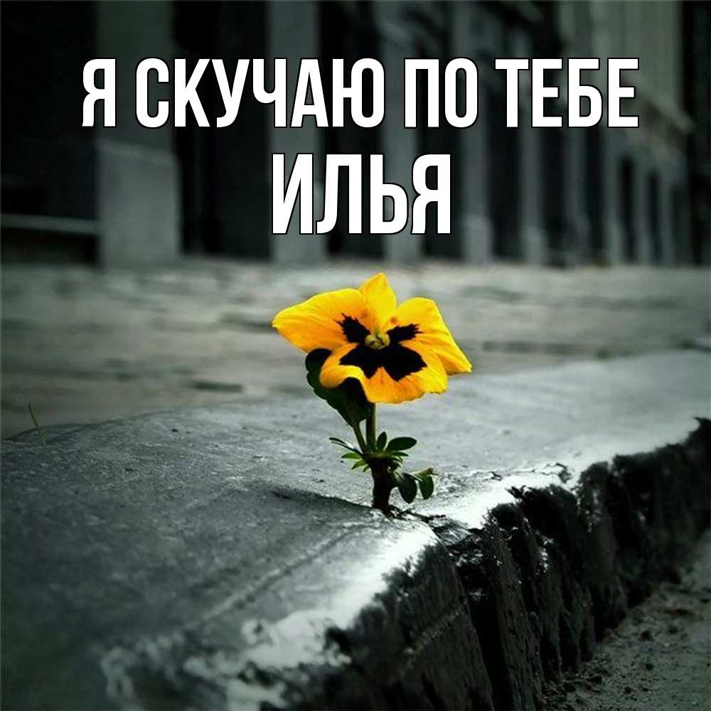 Открытка  с именем. Илья, Я скучаю по тебе  
