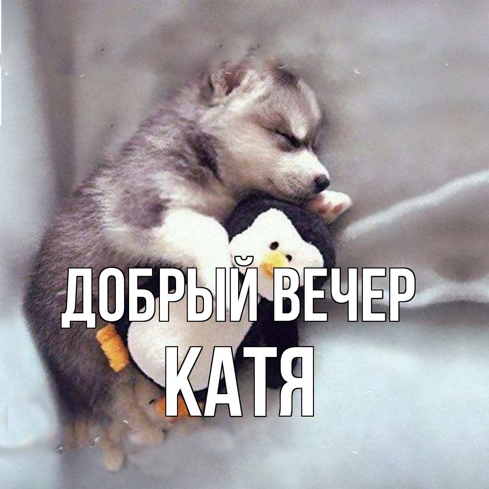 Открытка  с именем. Катя, Добрый вечер  