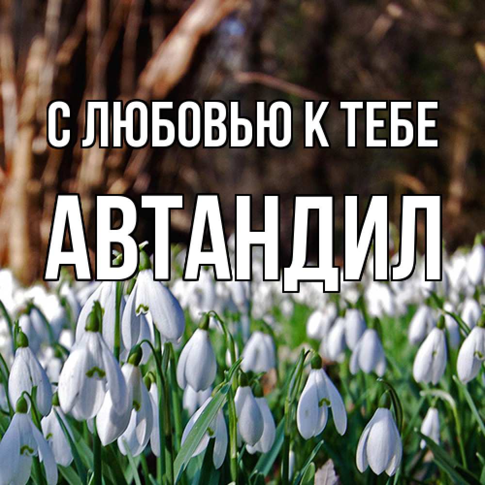 Открытка  с именем. Автандил, С любовью к тебе  