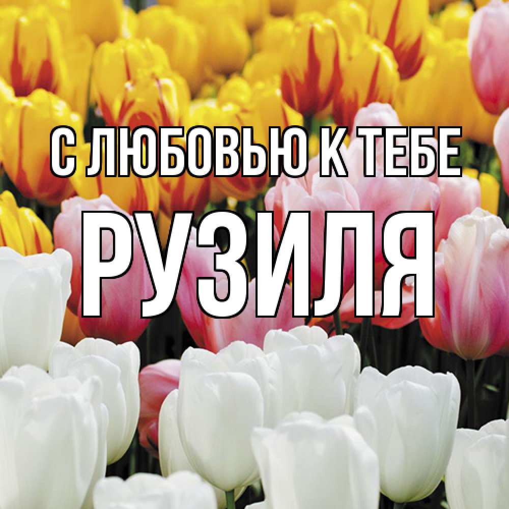 Открытка  с именем. Рузиля, С любовью к тебе  