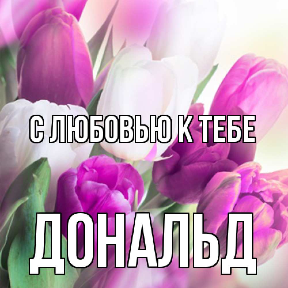 Открытка  с именем. Дональд, С любовью к тебе  