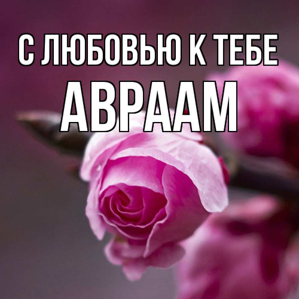 Открытка  с именем. Авраам, С любовью к тебе  