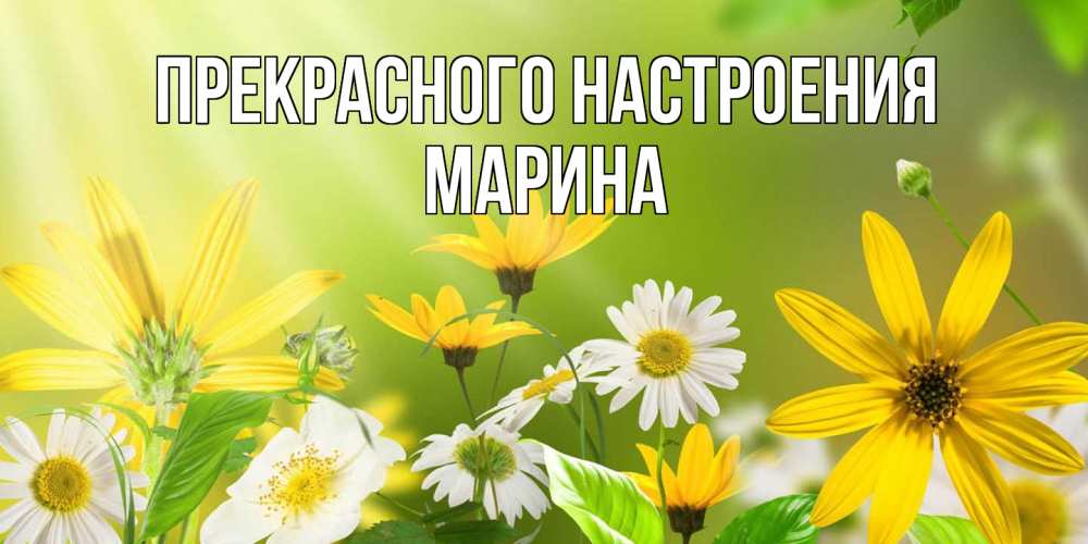 Открытка  с именем. МАРИНА, Прекрасного настроения  