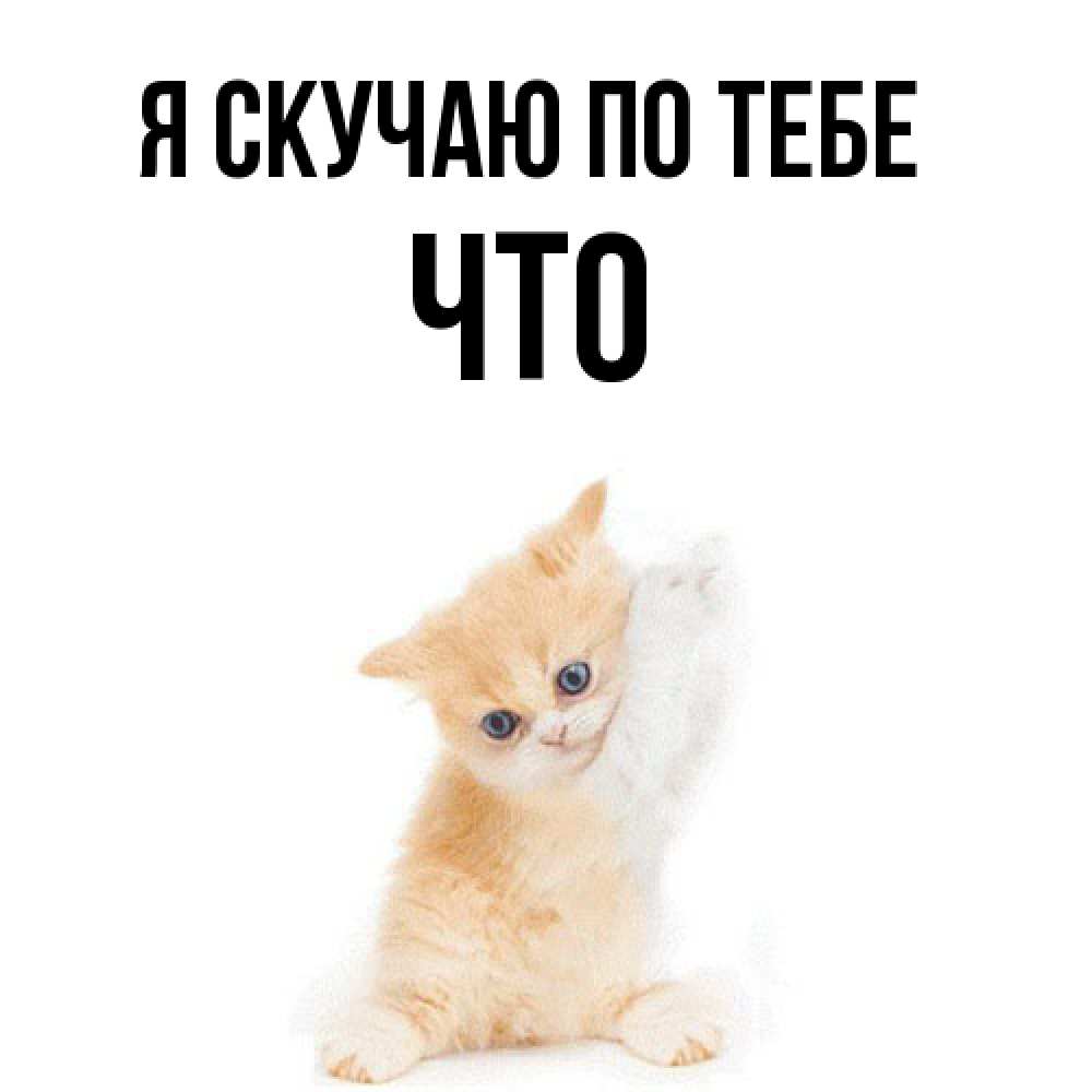 Открытка  с именем. Что, Я скучаю по тебе  