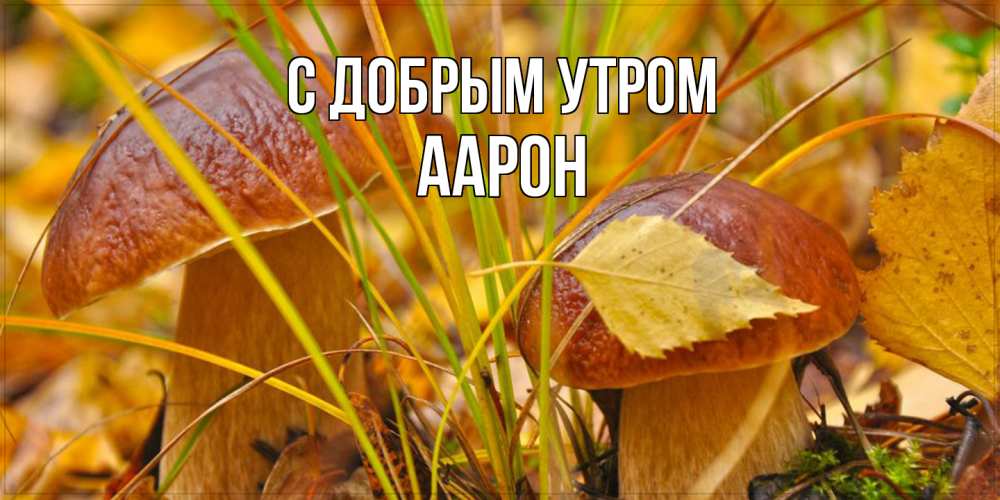 Открытка  с именем. Аарон, С добрым утром  