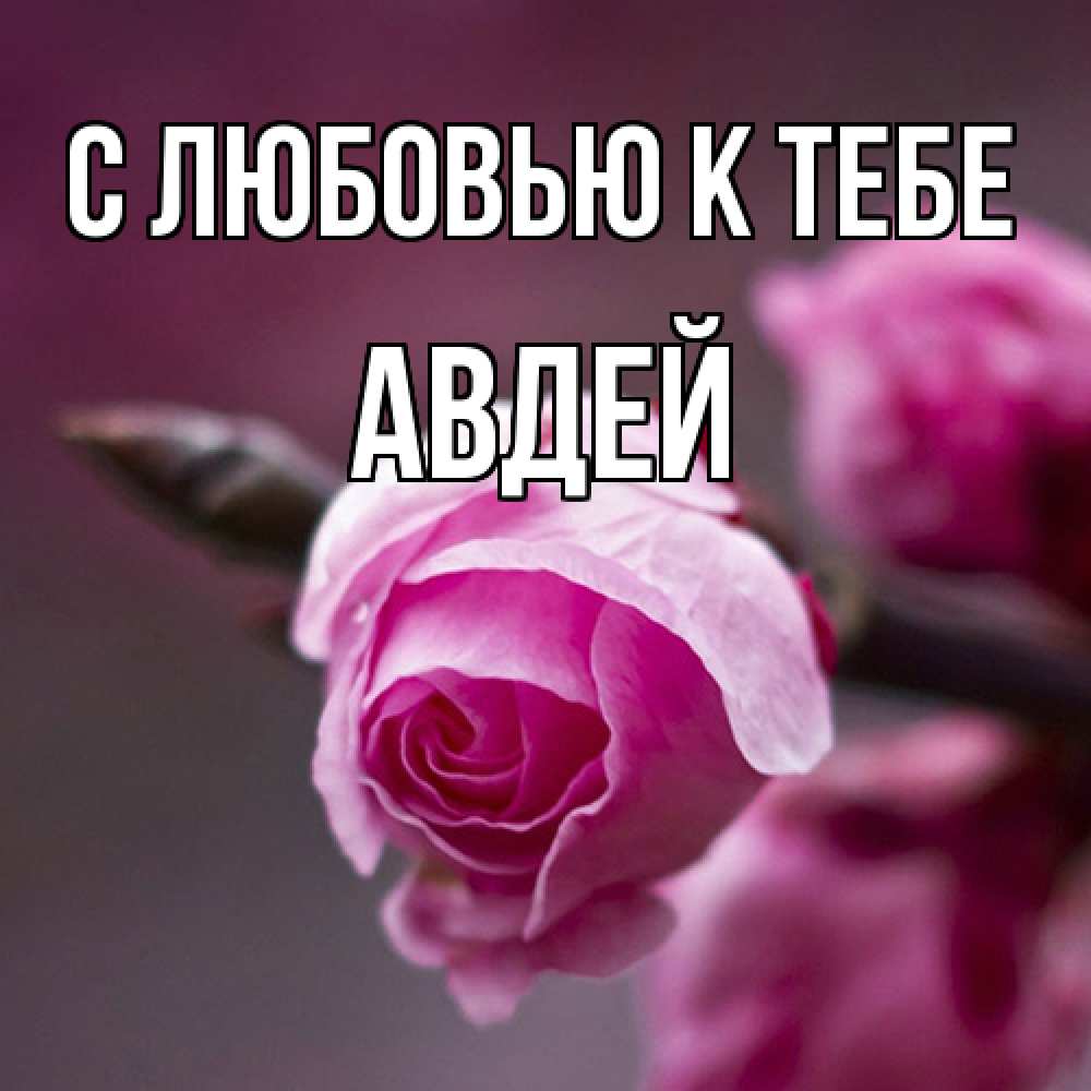 Открытка  с именем. Авдей, С любовью к тебе  