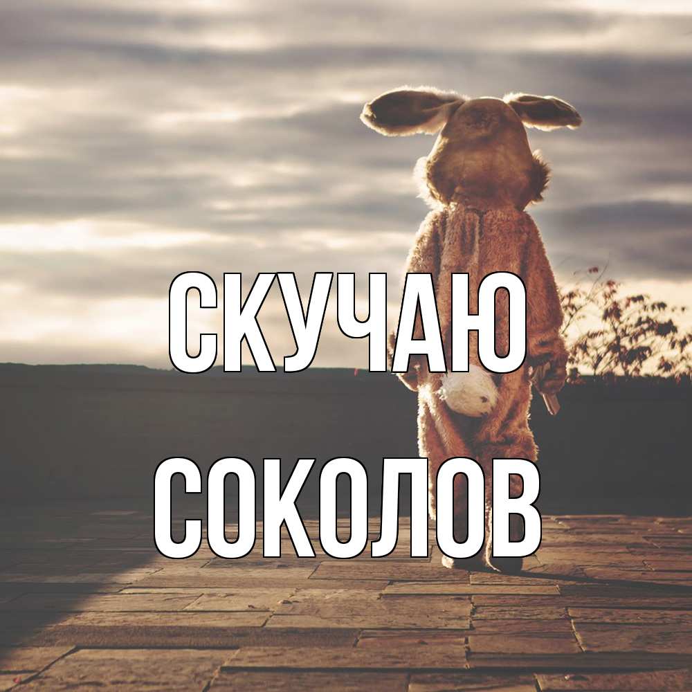 Открытка  с именем. Соколов, Скучаю  