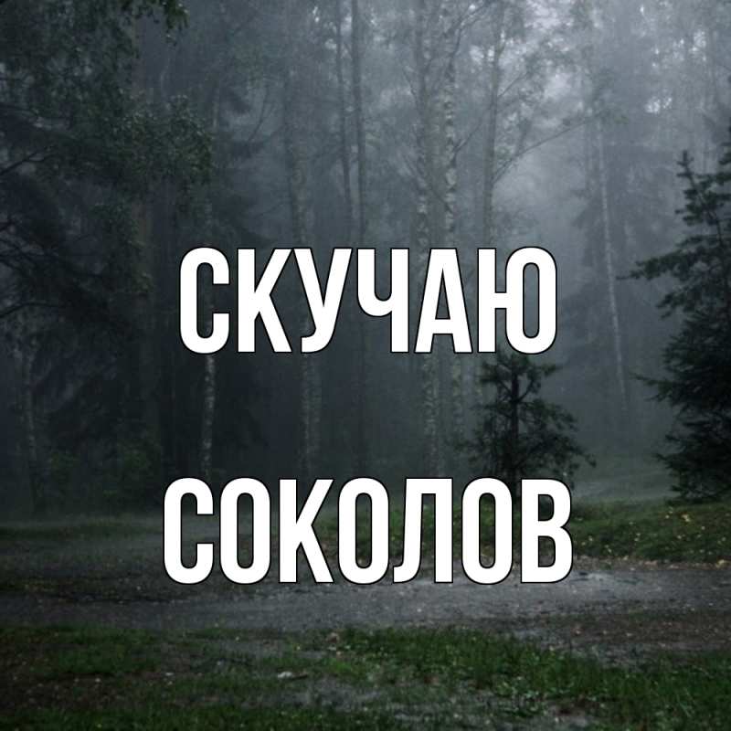 Картинка Скучаю, Соколов