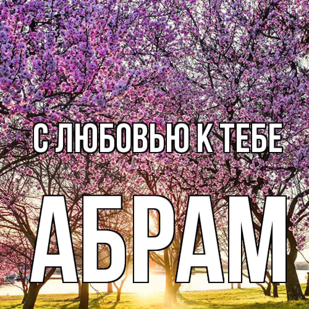 Открытка  с именем. Абрам, С любовью к тебе  