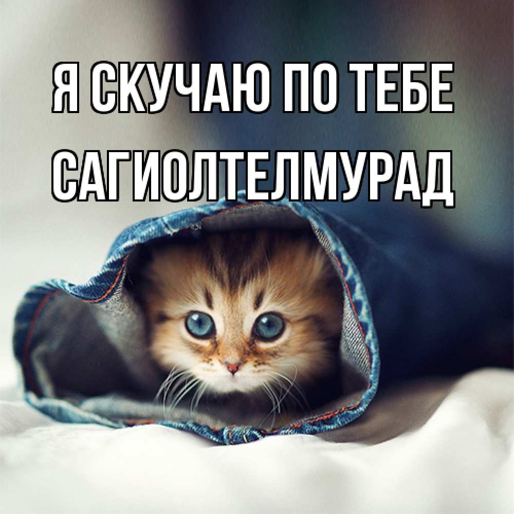 Открытка  с именем. САГИОЛТЕЛМУРАД, Я скучаю по тебе  