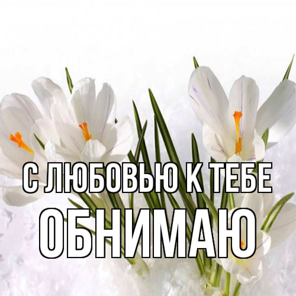 Открытка  с именем. Обнимаю, С любовью к тебе  