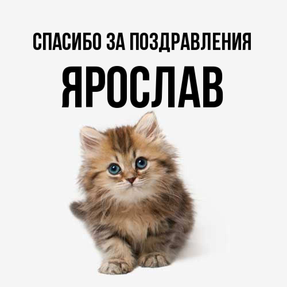 Открытка  с именем. Ярослав, Спасибо за поздравления  