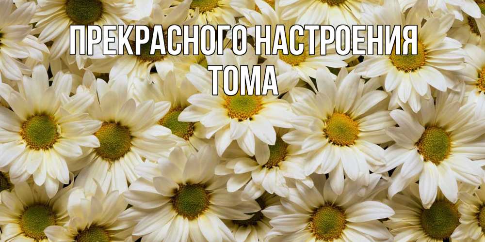 Открытка  с именем. Тома, Прекрасного настроения  