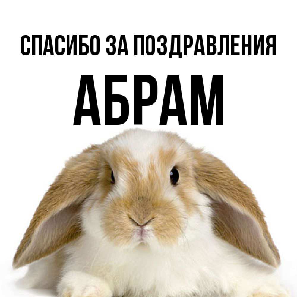 Открытка  с именем. Абрам, Спасибо за поздравления  
