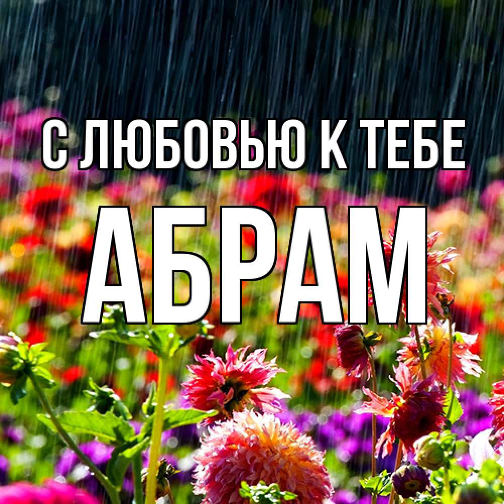 Открытка  с именем. Абрам, С любовью к тебе  