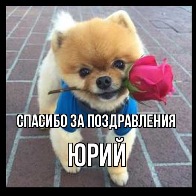 Открытка с именем, Юрий, Спасибо за поздравления