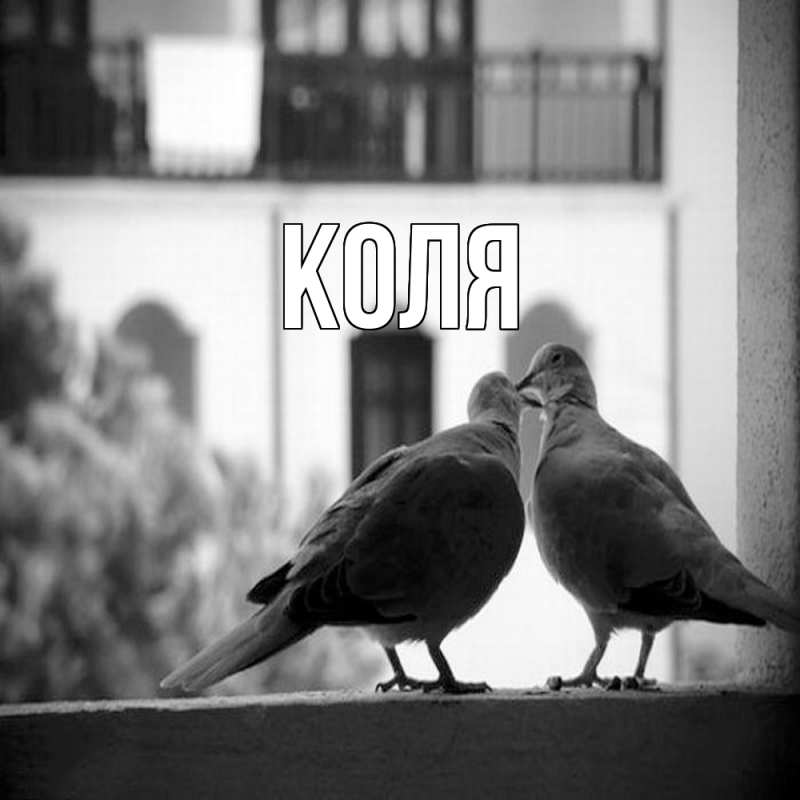 Картинка  с именем , коля