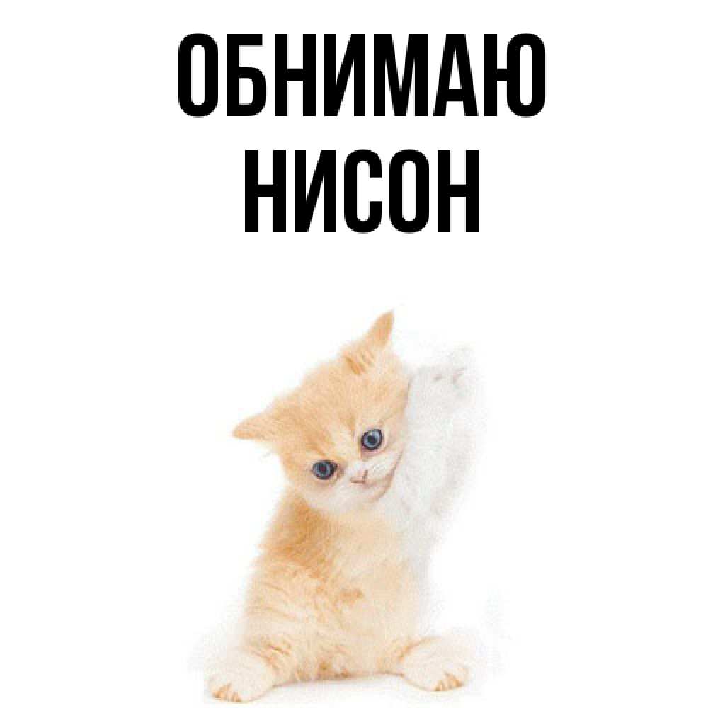 Открытка  с именем. Нисон, Обнимаю  