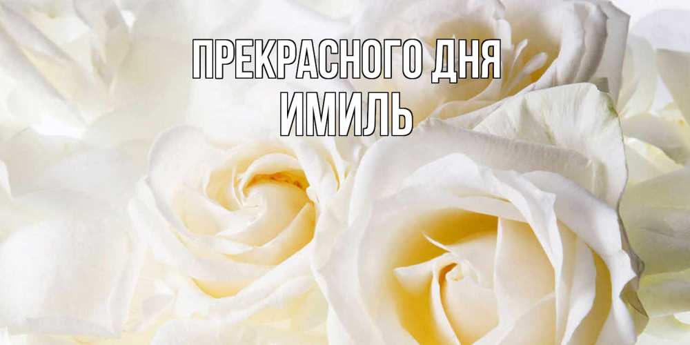 Открытка  с именем. Имиль, Прекрасного дня  