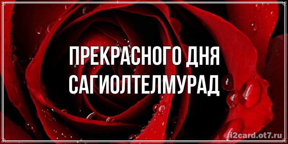 Открытка  с именем. САГИОЛТЕЛМУРАД, Прекрасного дня  