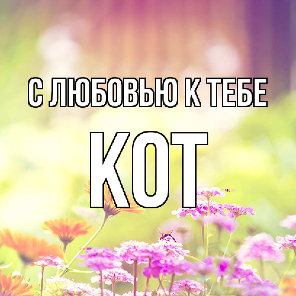 Открытка  с именем. КОТ, С любовью к тебе  