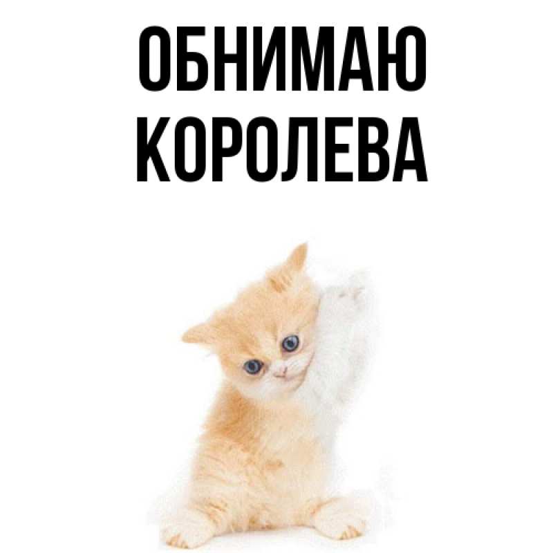 Картинка Обнимаю, Королева