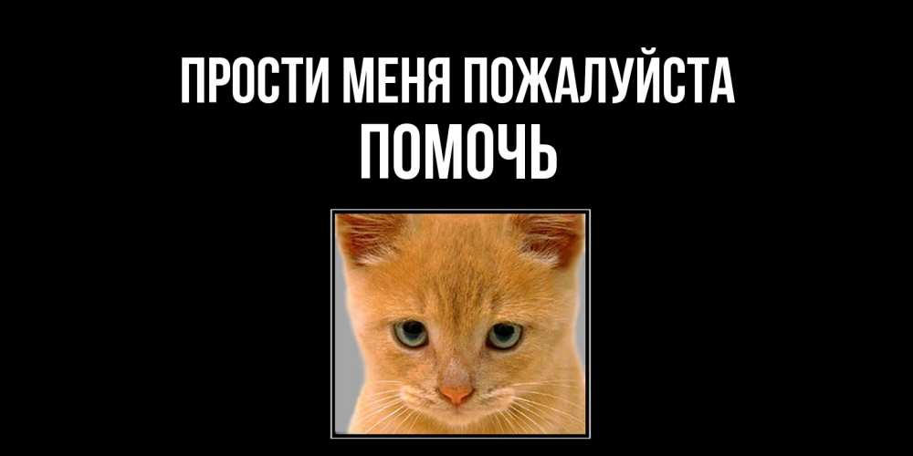 Открытка  с именем. Помочь, Прости меня пожалуйста  