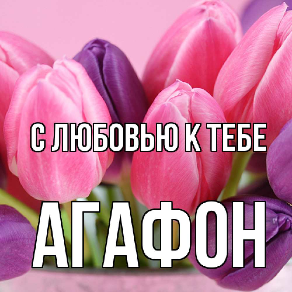 Открытка  с именем. Агафон, С любовью к тебе  