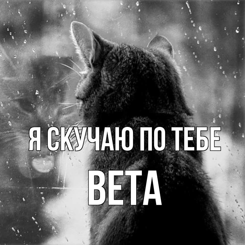 Открытка  с именем. вета, Я скучаю по тебе  