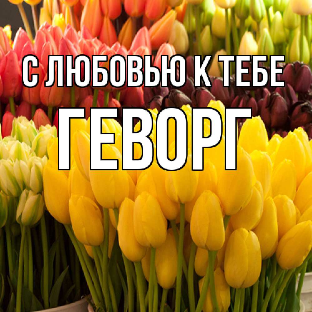 Открытка  с именем. Геворг, С любовью к тебе  