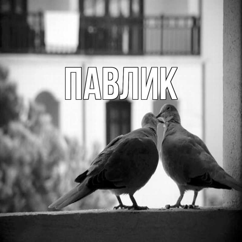Картинка  с именем , Павлик